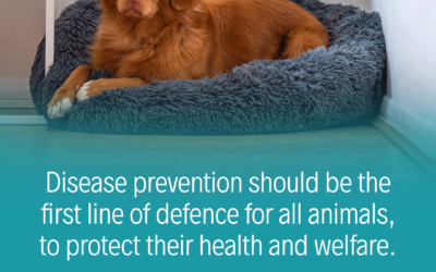 10. Światowy Dzień Szczepień Zwierząt