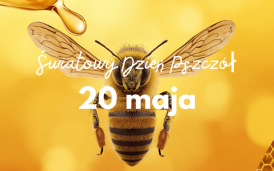 Wczoraj obchodziliśmy Światowy Dzień Pszczół!